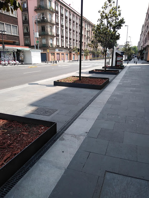 Calle del Centro de la CDMX completamente vacia